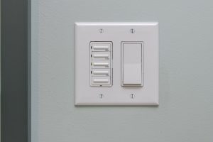 Parisian Cres Light Plate